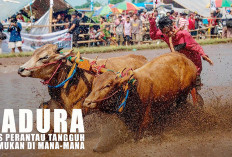 Madura: Etnis Perantau Tak Kenal Lelah, Ada di Mana-mana