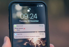 Notifikasi Whatsap Anda Tidak Muncul, Jangan Panik, Ini 6 Cara Mengatasi Masalah Tersebut