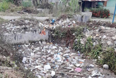 Sampah Bakal Jadi Pemicu Kuat Alih Fungsi Lahan Sawah Ke Sawit