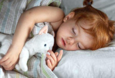 Si Kecil Tidur Sendiri, Panduan Menuju Tidur Nyenyak Tanpa Air Mata