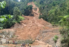 Ciri - Ciri Tanah Mudah Longsor Serta Tips Membangun Di Tanah yang Mudah Longsor