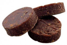 Cara  dan Tradisi Memanen Air Nira dari Pohon Aren di Beberapa Daerah