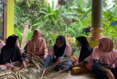 Dari Hutan Menuju Rumah, Kisah Tikar yang Menenun Kehangatan