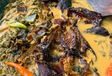 Selera Gulai Ikan Salai, Berikut Bahan Yang Mesti Ada, Dan 3 Variasi  Masakan Yang Mesti Dicoba 