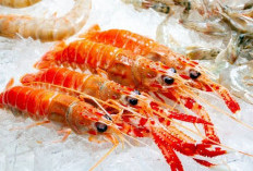 Manfaat Udang untuk Kesehatan Jantung: Menurunkan Kolesterol dan Trigliserida!