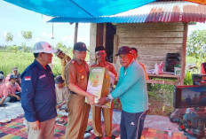 Dinas TPHP Provinsi Grebek Sawah Kelompok Tani Lubuk Tebat di Ranah Karya