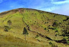 Sang Penjaga Tatar Sunda Mengungkap Pesona dan Misteri Gunung Guntur