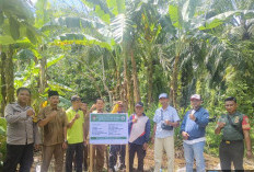 Gajah Mati Optimis Bangunan Fisik 2025 Selesai Tepat Waktu 