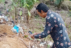 Ada Jejak Harimau di Selagan Raya, Ini Kata BKSDA 