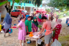 Harga Daging Ayam Naik Rp 45.000 per Kilogram