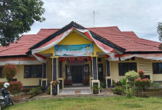 Realisasi Fisik DD di Kecamatan Air Manjuto Masih Nihil