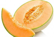 7 Manfaat Luar Biasa Buah Melon: Segar, Sehat, dan Kaya Nutrisi!