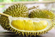 Tak Hanya Lezat, Durian Ternyata Bisa Redakan 8 Penyakit Ini!