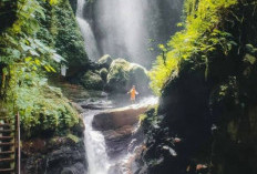 Curug Walet Bogor Pesona Tersembunyi di Hutan Bogor