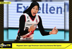 Megawati Hangestri, Menaklukkan Lapangan dan Budaya di V-League Korea