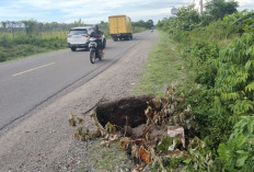 Gorong-gorong di Jalan Bandara Amblas, Pengendara Perlu Berhat-hati