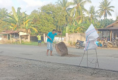 Belum Tersentuh Perbaikan Permanen, Warga Goro Tambal Lubang Jalinbar