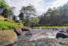 Kunjungi Wisata Sungai Trokon Curup Bengkulu, Airnya Bening Dangkal Berbatu Anak-Anak Sangat Suka