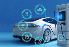 Mobil Listrik: Solusi Transportasi Ideal untuk Kota-Kota Ramai