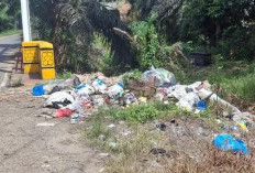 Ini Langkah Pemdes Tunggang Terkait Tumpukan Sampah Liar