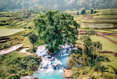 Sumba: Ragam Pesona di Balik Bukit dan Pantai