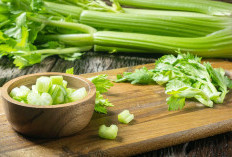 Cara Alami Turunkan Asam Urat Dari Pola Makan hingga Herbal Tradisional