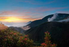 Gunung Papandayan Pesona Alam yang Memikat di Balik Misteri Letusan