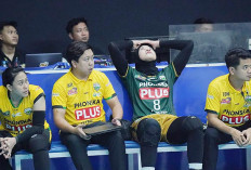 Proliga 2025 Putri Sudah Berakhir, Indonesia Para Juaranya 