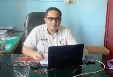 Koperasi Merah Putih Bisa Ajukan Pinjaman Rp3–5 Miliar Lewat Bank Himbara, Syarat dan Ketentuan Berlaku