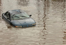 Waspada Jangan Terkecoh Harga Murah, Kenali Ciri-Ciri Mobil Bekas Banjir Sebelum Terlambat