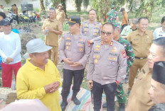 Ketahanan Pangan Tanam Jagung, Petani Usulkan Mesin Panen Otomatis