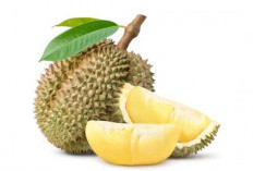 Waspada, 5 Minuman Ini Sangat Berbehaya Dikonsumsi Bersamaan Dengan Durian