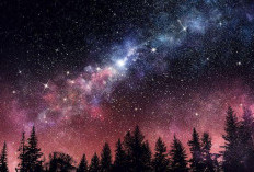 Menjelajahi Langit Malam, Bagaimana Rasi Bintang Membentuk Pola di Langit