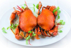 Manfaat Kepiting untuk Kesehatan Jantung: Menurunkan Kolesterol dan Menjaga Tekanan Darah!