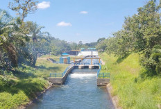 Irigasi DI Manjuto Kanan Akan Pengeringan Selama Satu Bulan 