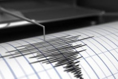 Gempa Bumi Mega Trust, Bencana Alam yang Mengancam dan Solusi yang Dibutuhkan