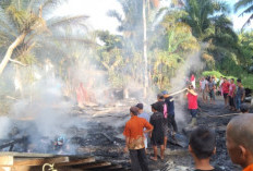 BREAKING NEWS ! Rumah Kediaman Mantan Kades Pauh Terenja Ludes Terbakar    