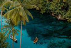  Banggai Islands Surga Tersembunyi di Sulawesi Tengah