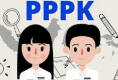 1,7 Juta tenaga  Honorer Tidak Diangkat Jadi PPPK 2024, Kecauali Ikuti Syaratnya