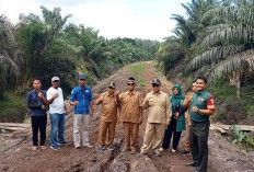 Hasil Monev Sumber Makmur Mulus 