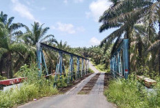 Jembatan Desa Manjuto Jaya Mulai Rusak, Warga Berharap Dibangun Permanen
