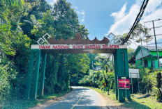Ingin Merasakan Sensasi Petualangan, Ayo ke Taman Nasional Bukit Barisan Selatan Bengkulu, Rumah Spesies Langk