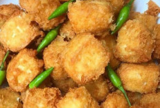 Tahu Sang Kanvas Kuliner yang Tak Terbatas