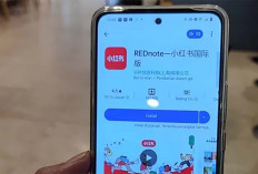 Mengenal Aplikasi RedNote, Pengganti TikTok yang Bakal Diblokir di Amerika