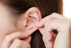 Telinga Berdenging dan Sakit: Penyebab, Gejala, dan Cara Mengatasinya
