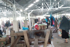 Didukung Fasilitas Memadai, Pasar Pagi Lubuk Sanai Punya Daya Tarik Tersendiri