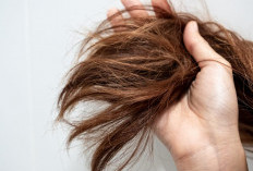 Hati Hati, 8 Kesalahan Saat Keramas yang Perlu Anda Hentikan Agar Tidak Merusak Rambut
