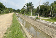 Siring DI Manjuto Kiri Masih Kering, Pembukaan Irigasi Dinilai Hanya Formalitas 
