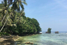 Pulau Pisang, Surga Tersembunyi di Kepulauan Seribu yang Memikat Hati