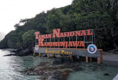 Karimun Jawa, Surga Tersembunyi di Utara Jawa